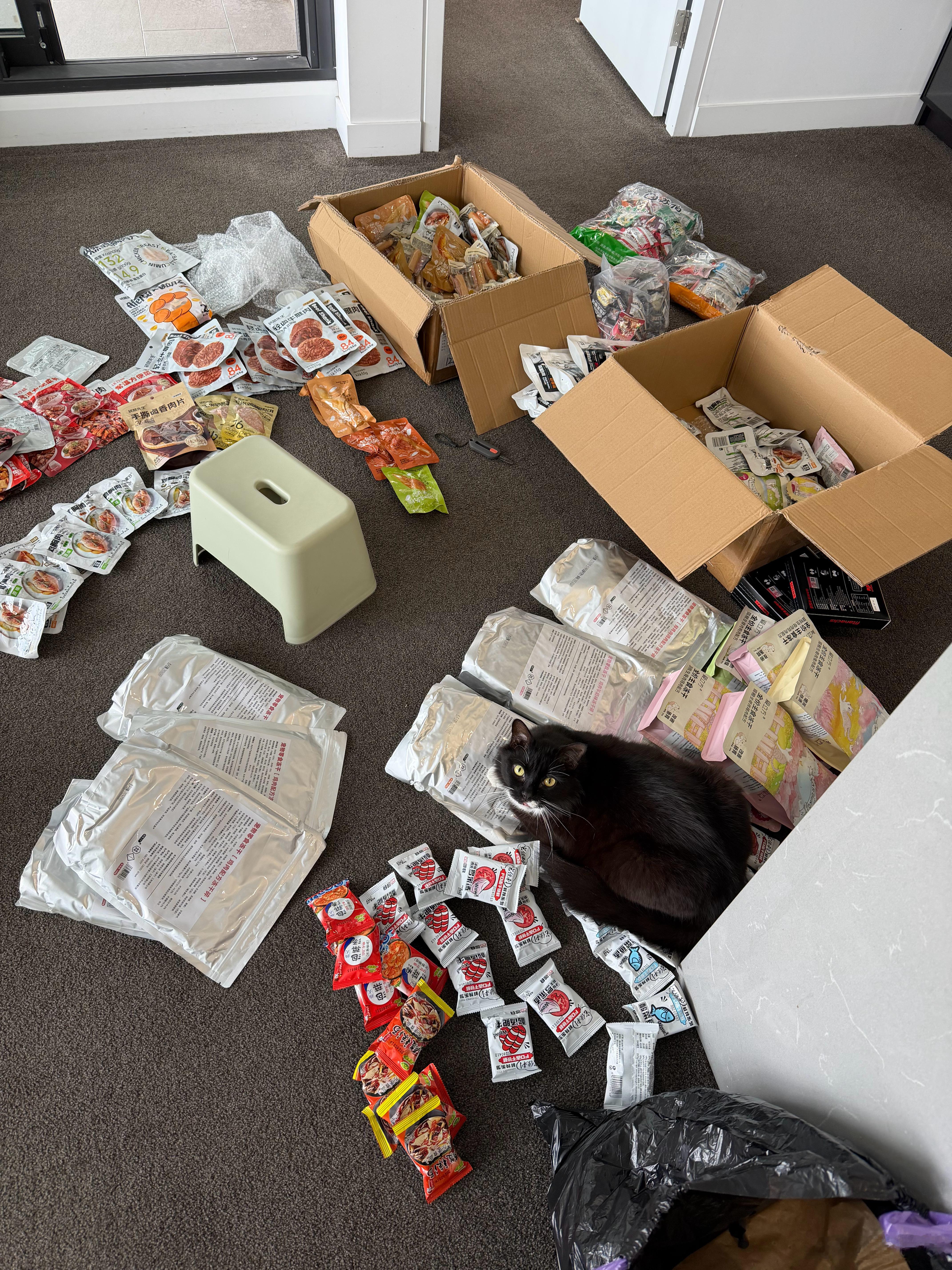 时常怀疑这只猫是不是成精了，它是如何从一堆零食里面精确定位到自己的零食的并趴在那