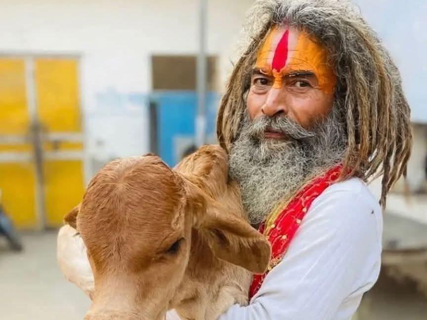 报道称，著名护牛义士钱德拉谢卡尔（Chandrashekhar，人称“法尔萨瓦莱