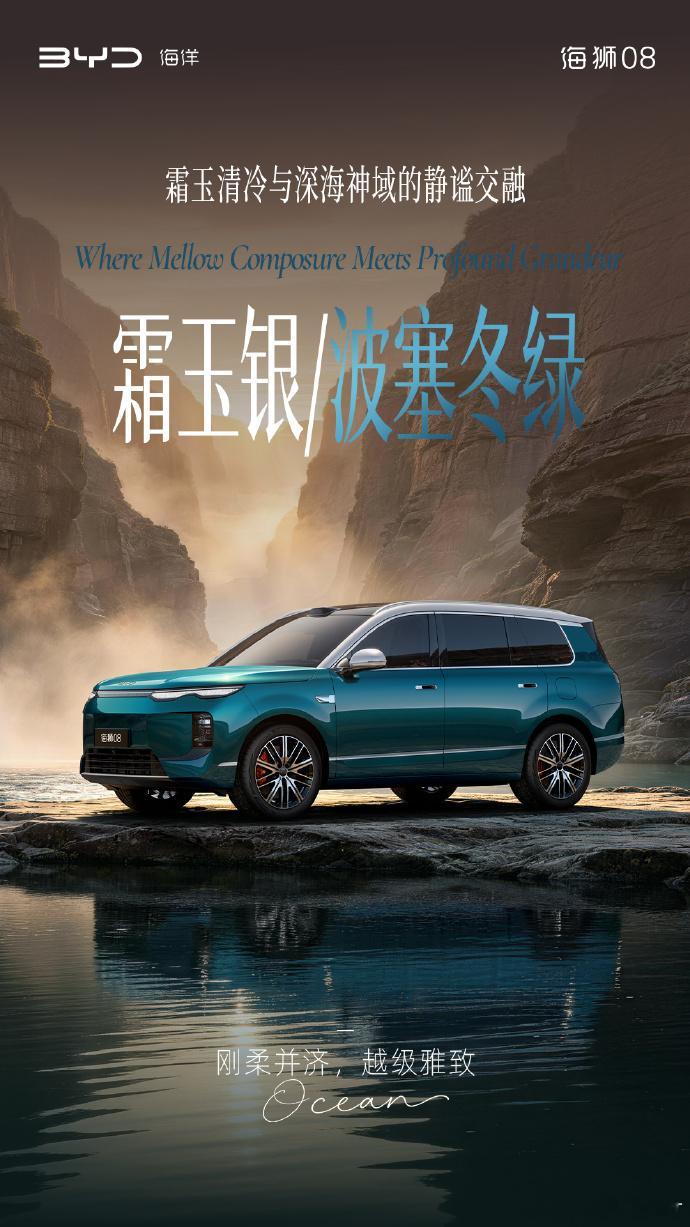 听说海狮08盲订直接爆单了，说实话一点都不意外本来都以为怎么也得30往上，结果预