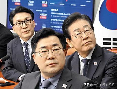 3月25日，韩国共同民主党决定，以散布针对总统李在明与国务总理金民锡的虚假事实为