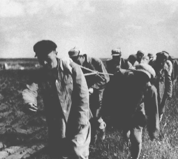 1950年春，第四野战军特种兵机关率炮兵第1、第5、第8师赴东北进行农林生产。仅