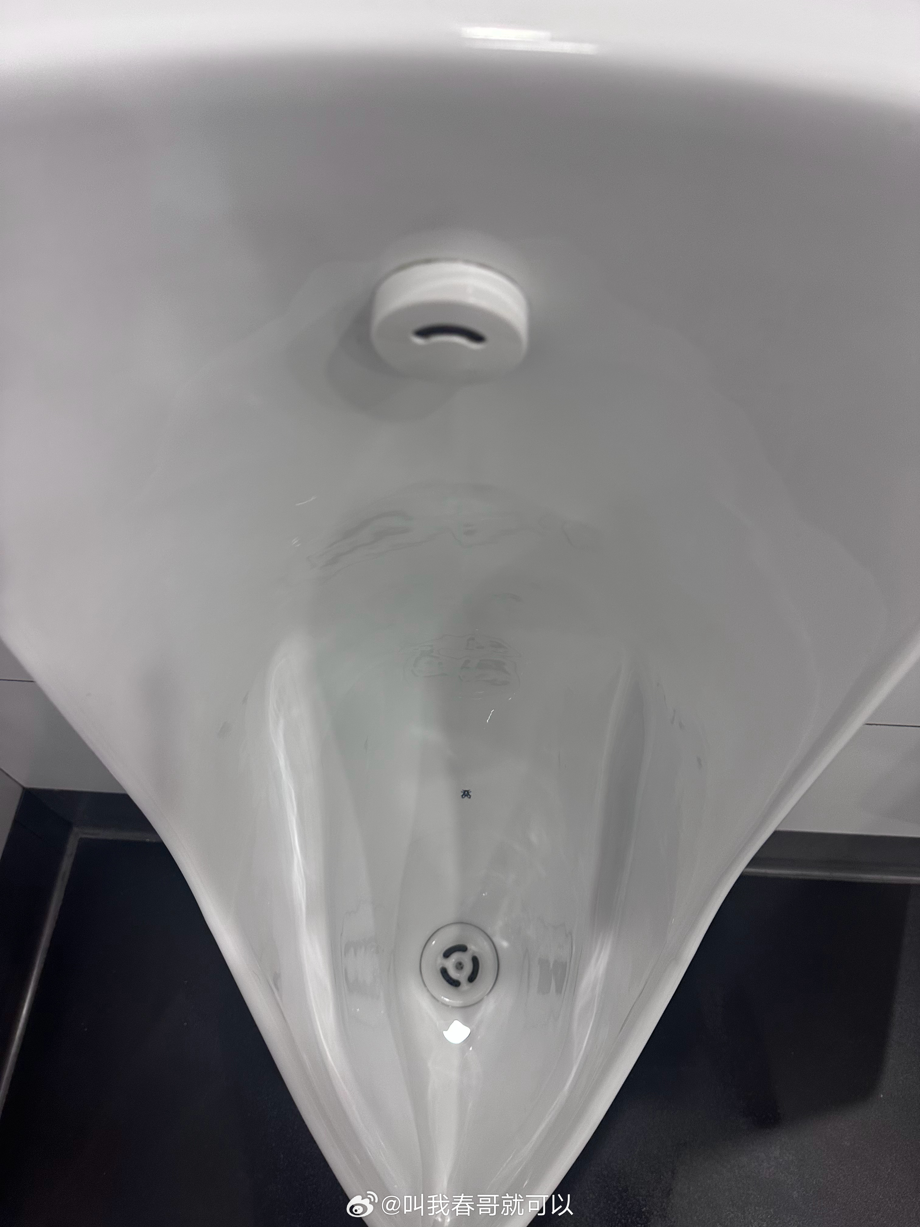 看到小便池下方那个黑点了吗。它是一只苍蝇图案，据说是为了引导各位尊贵的神射手们瞄