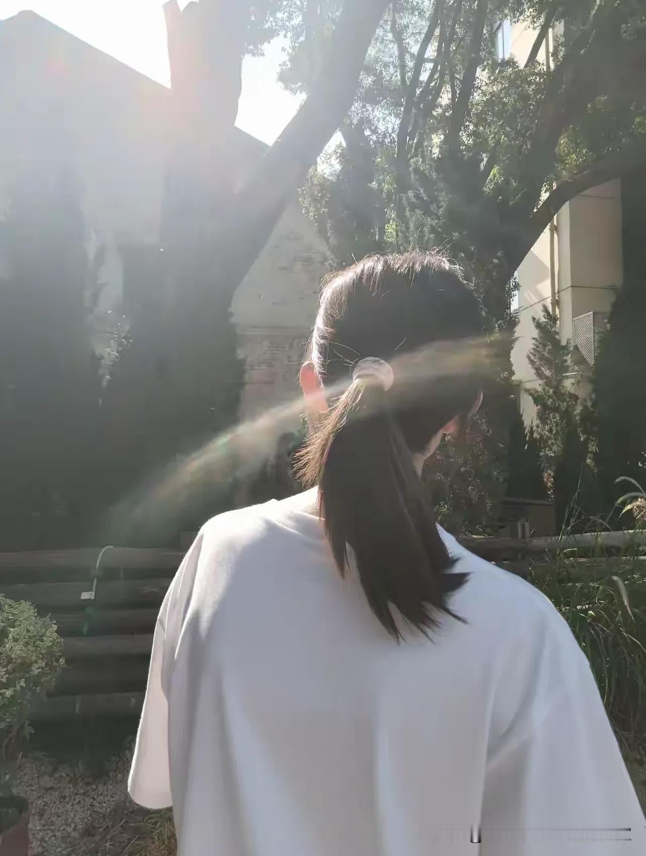 有没有好看的风景图片分享