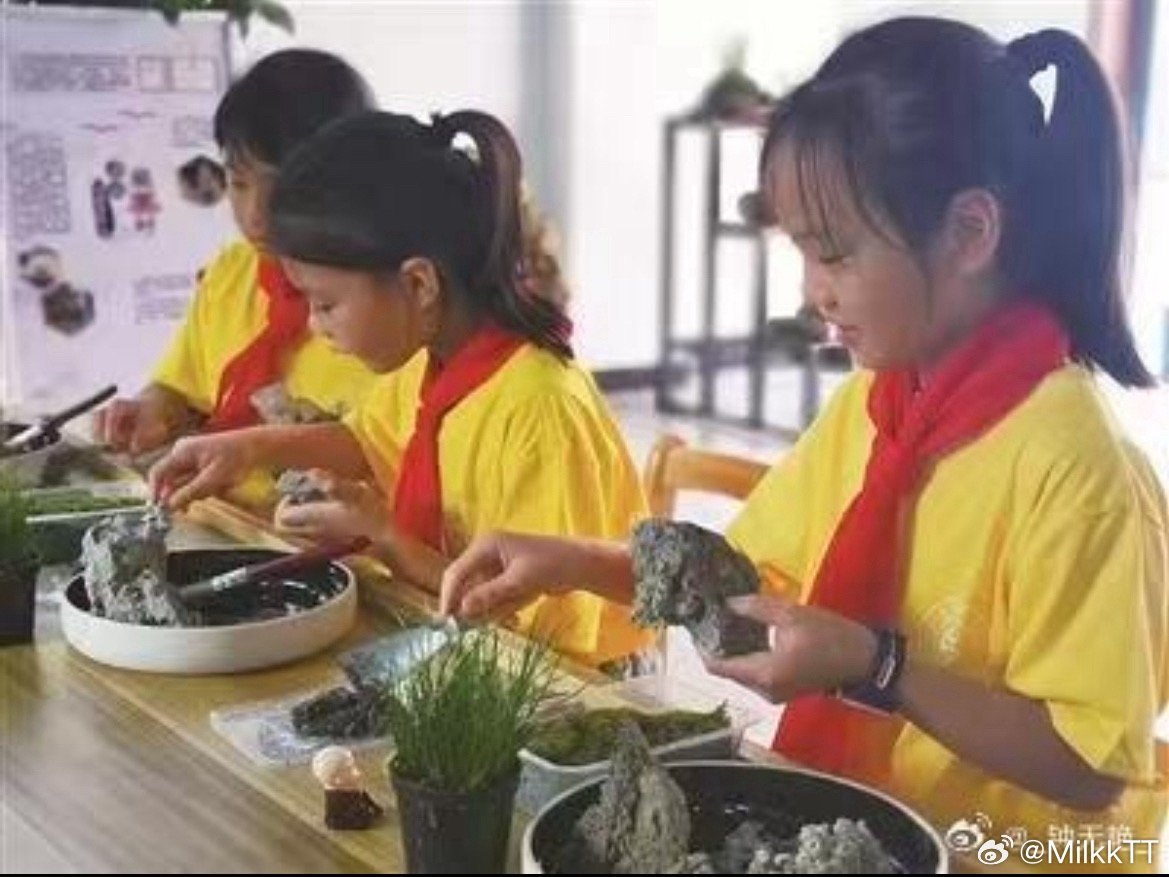 浙江衢州这个村点石成金解锁共富密码如今，大家通过直播制作、线上带货，让小小石盆景