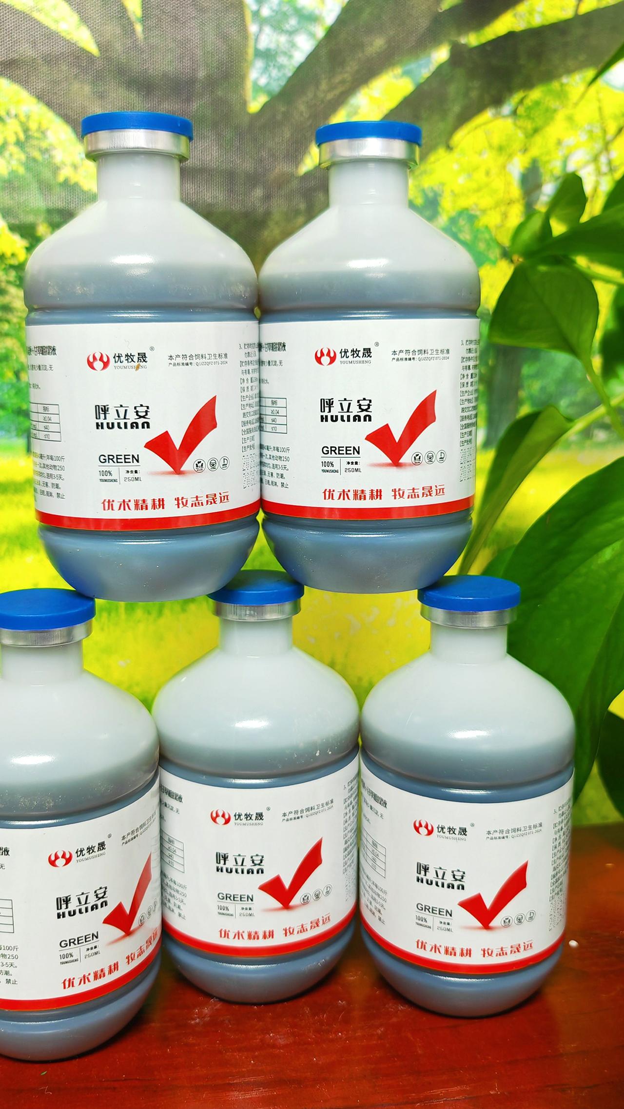 养羊人 牛羊养殖 养殖场专用 农村养羊