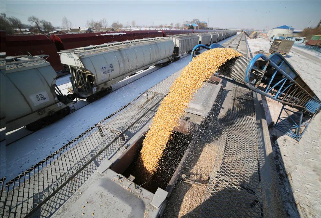 中东打仗牵出连锁反应，世贸组织直接拉响警报，这仗再不停，全球几十亿人的饭碗都要受