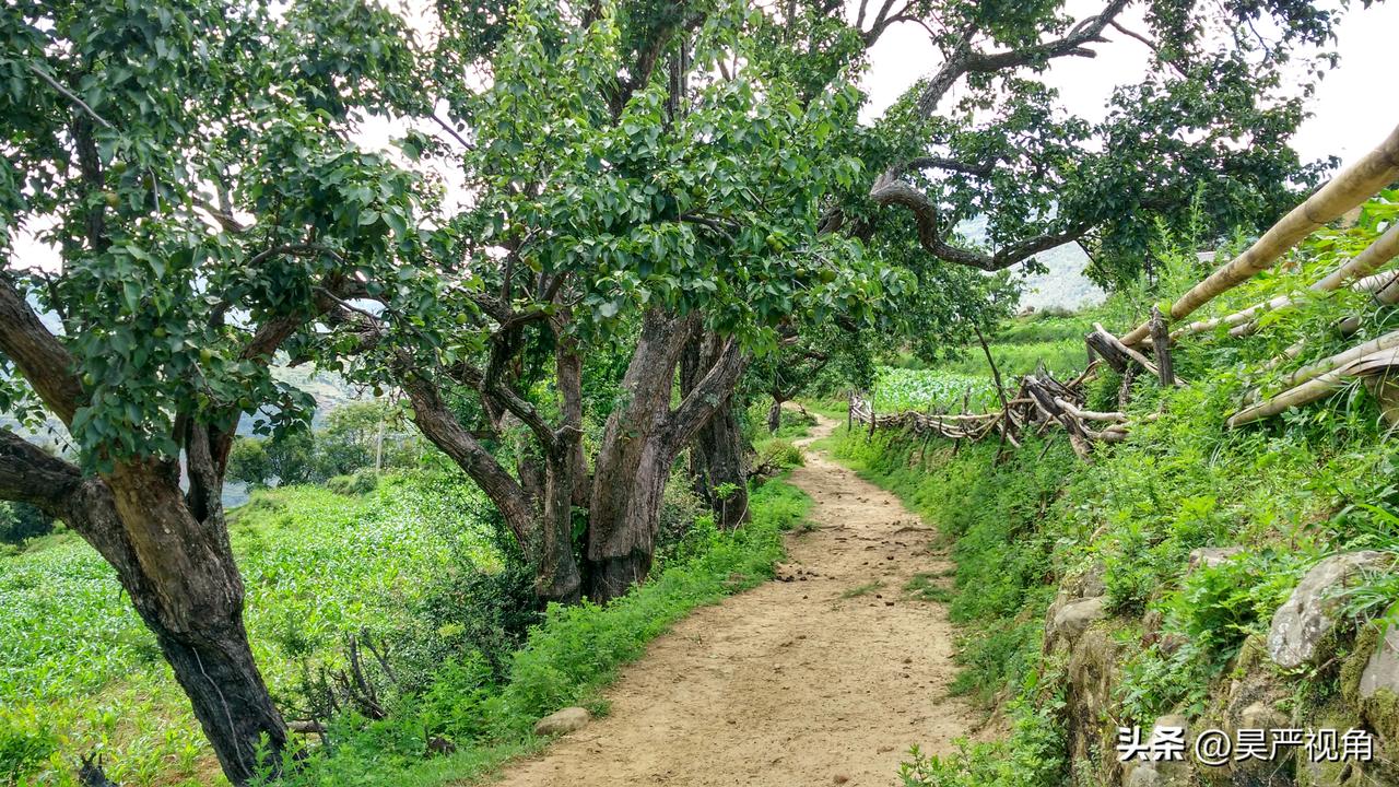 这是一个十分出片的原生态村落，位于丽江永胜县境内。也是一个十分小众的旅游景点。这