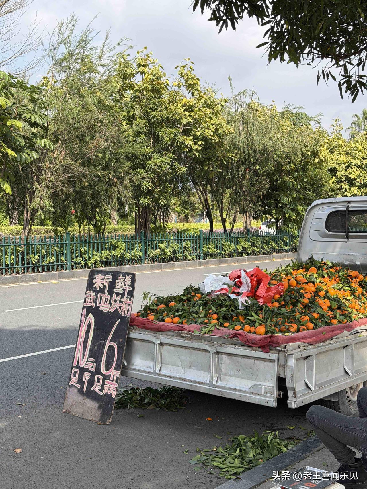 沃柑这是要白送吗？路边10块钱6斤，果农还有钱赚吗？你们那边沃柑现在什么价？
