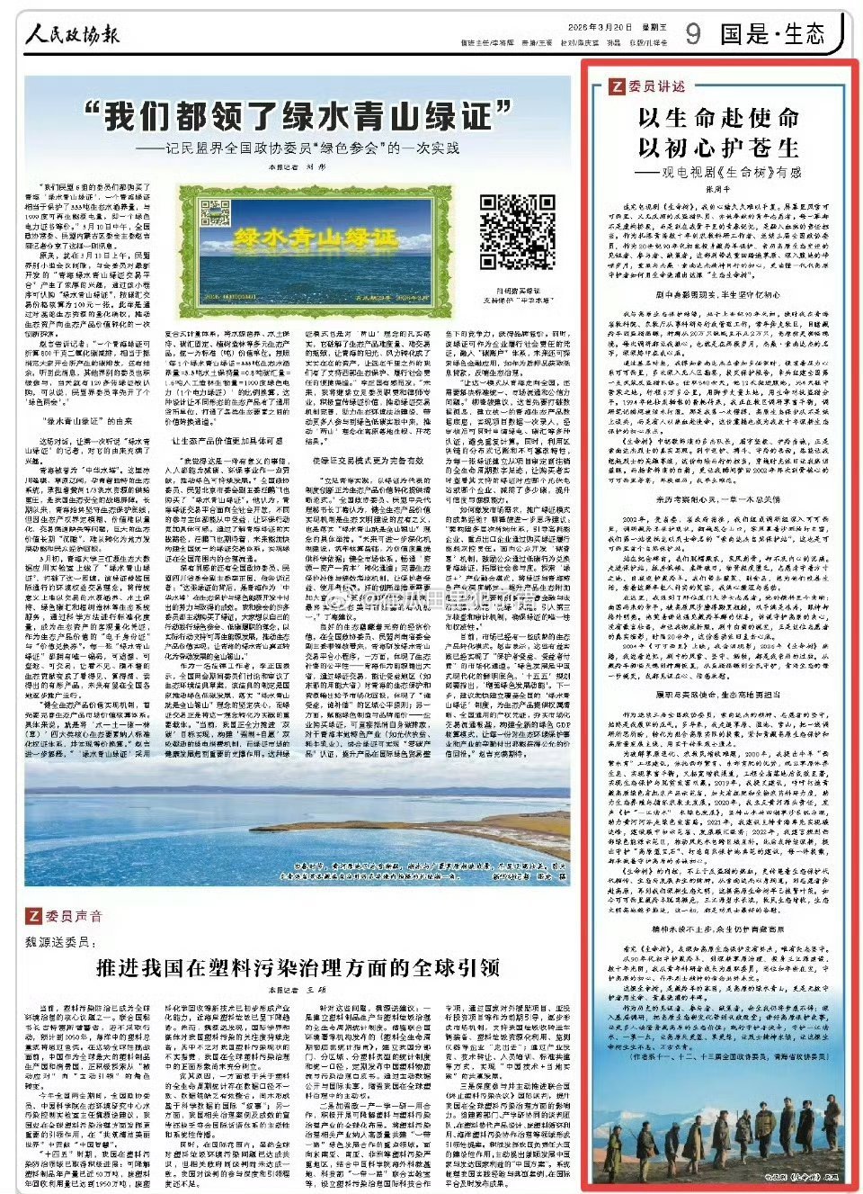 杨紫《生命树》就是这么受主流媒体认可 