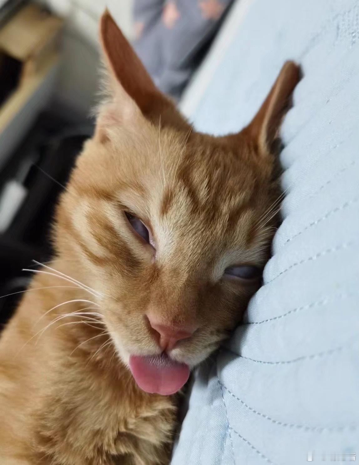 近期状态 