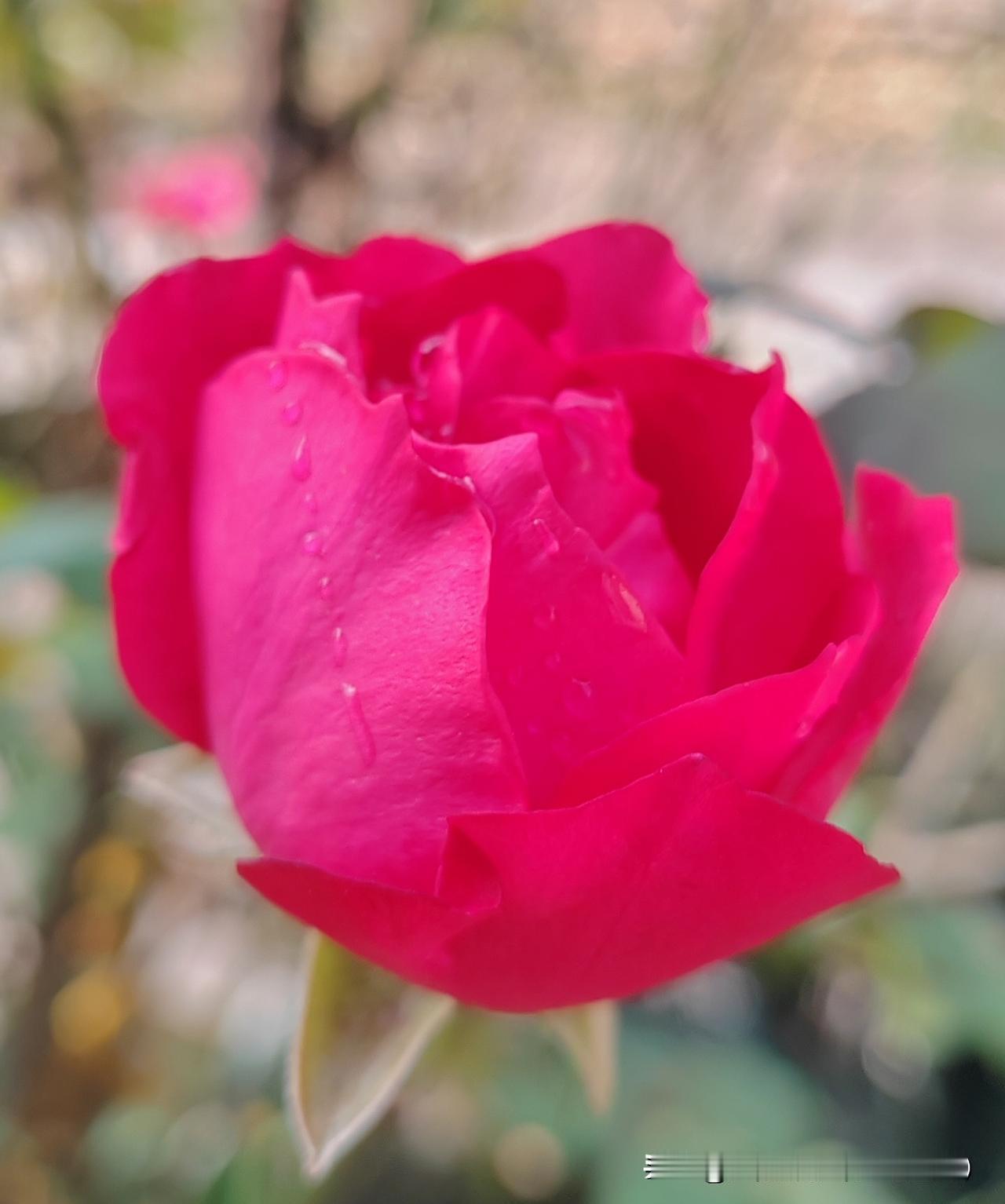 最想谢谢那个较真的自己：谢谢自己顶住违规压力，对每篇稿子的事实和合规反复核对，没