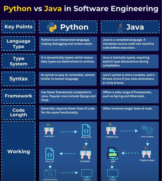 不要不会Python，不要只会Python