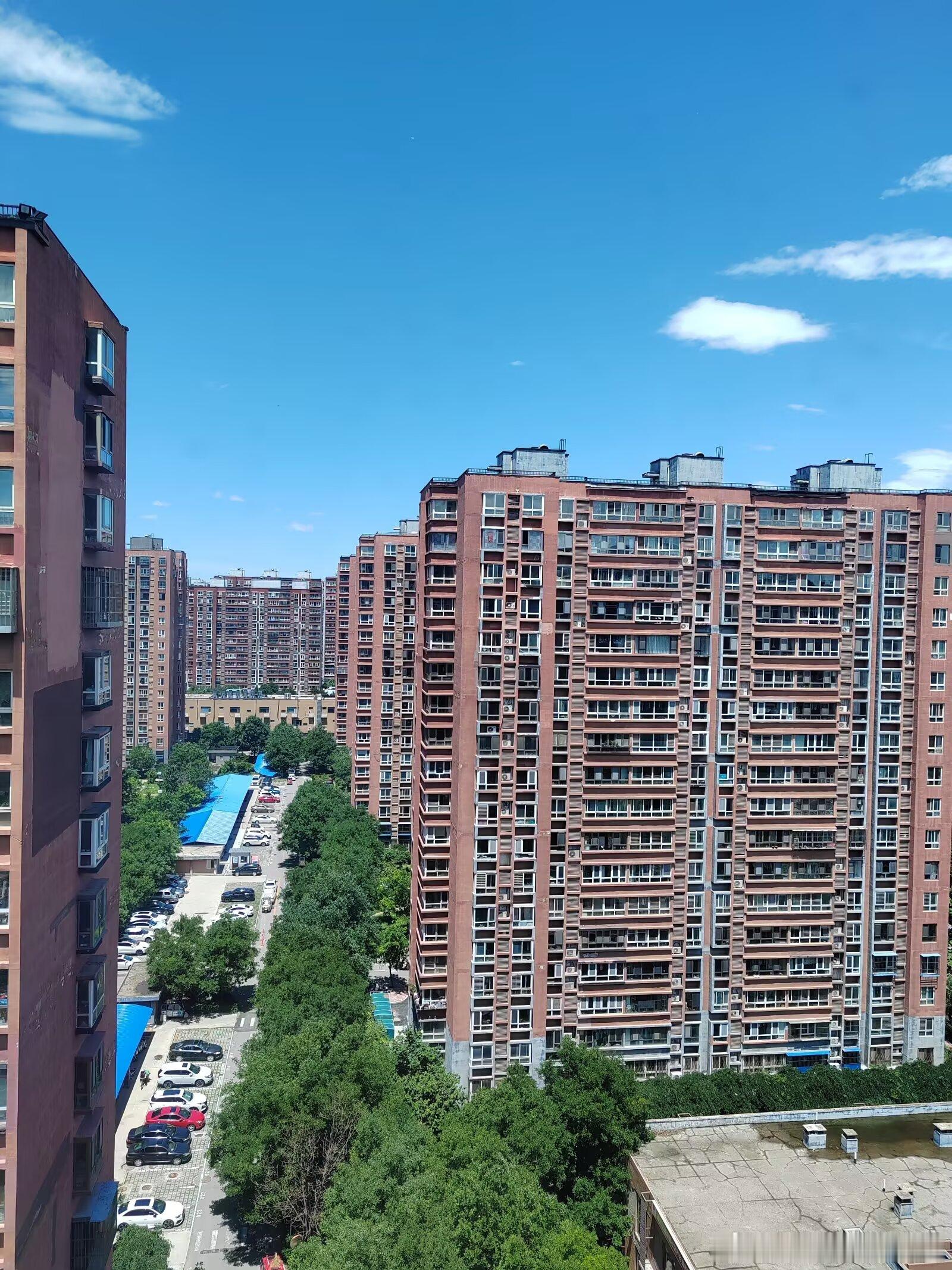 昨晚的一场大雨过后，京城迎来通透的好天气！现在是微风习习，燥热一扫而空。 