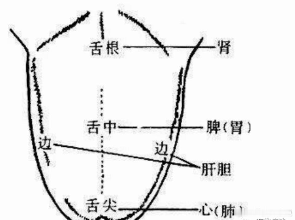 #健闻登顶计划##中医养生# 【弹舌养生】“心开窍于舌”弹舌养生，可以间接对大脑