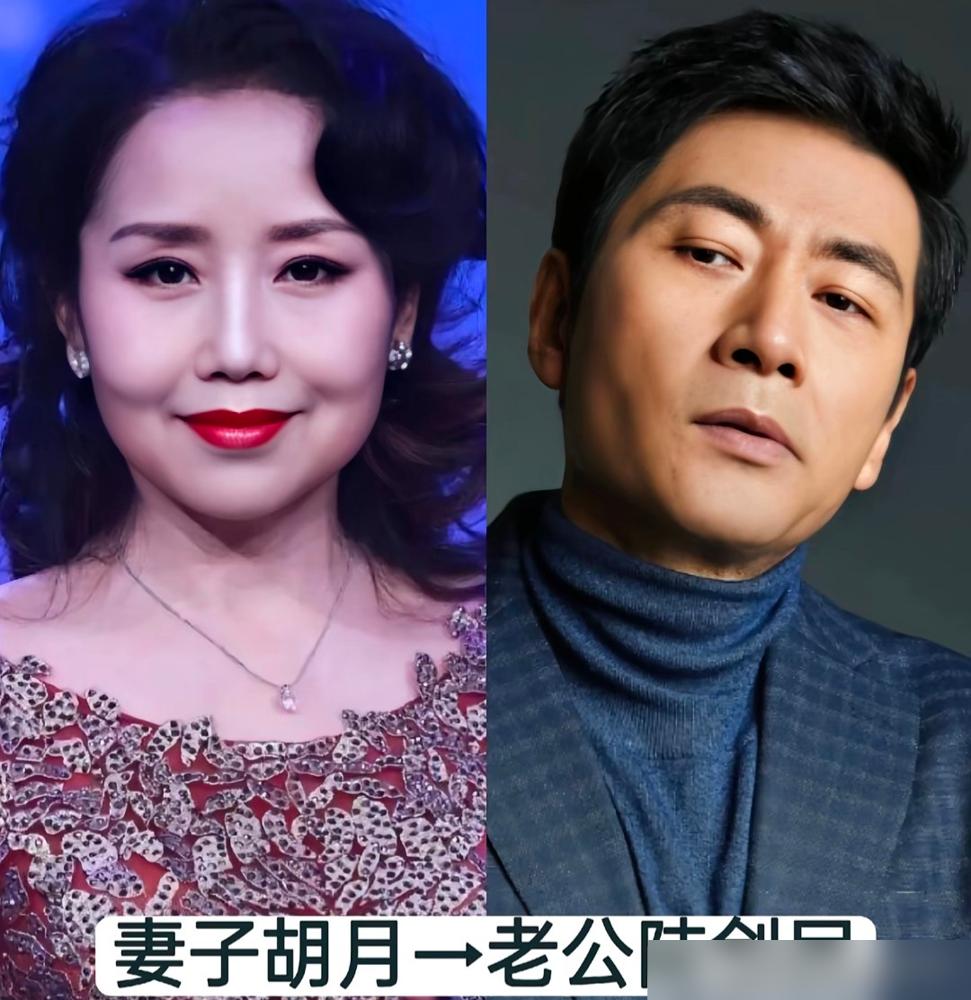 胡军的儿子康康，最近去了珠海航展。
盯着歼-35A，眼神里全是光。

这挺有意思