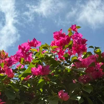 最高法：大力推进清理政府机关等拖欠中小企业账款传递出3个重要信号
 
最高法：大