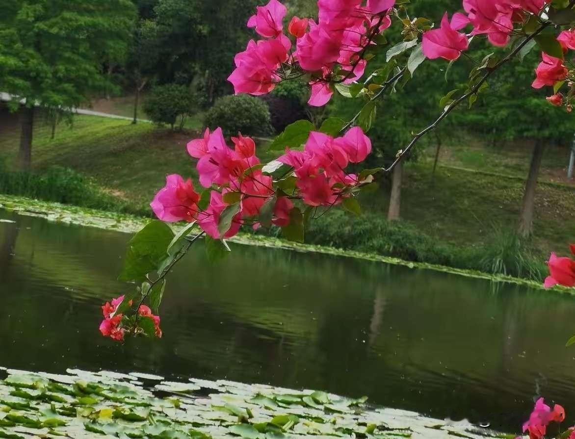 又赚了！

真是奇怪！每当我轻仓，小心翼翼炒股时。就总是赚！虽然赚的少。但毕竟是