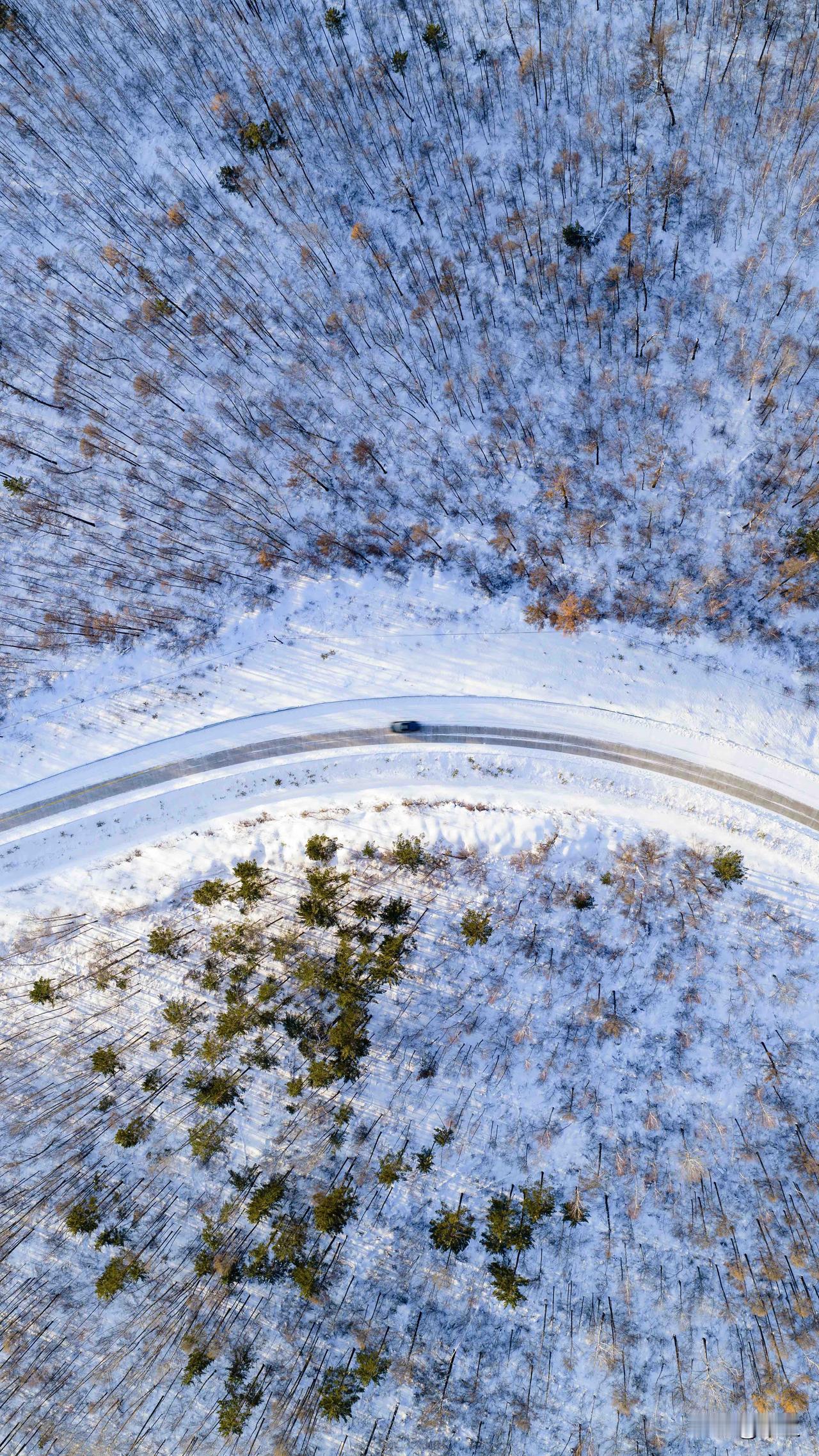 俯瞰冬季的大兴安岭原始森林