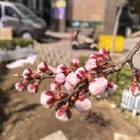 我的今日状态：🏃‍➡️运动
我这里的天气：🍂微风