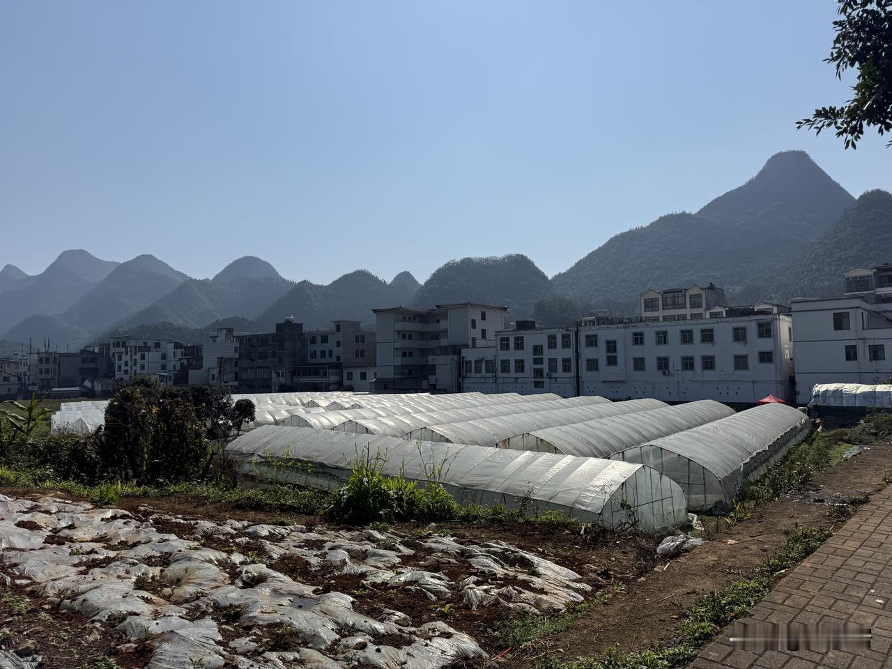 大家有没有发现，现在在南方的农村，几乎都有草莓采摘园了。十分方便，吃草莓吃到饱。