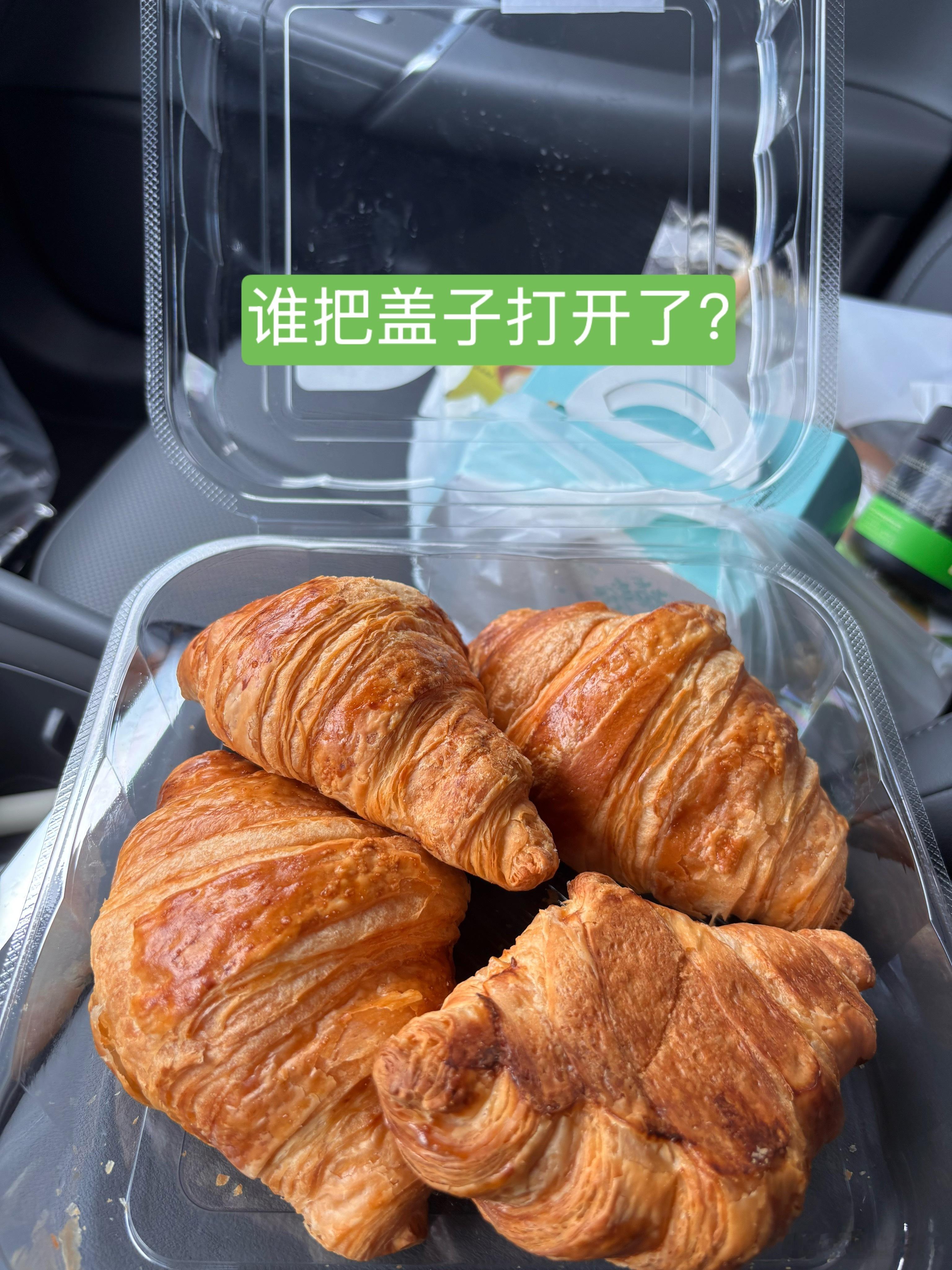 当我减脂和副驾相处时 