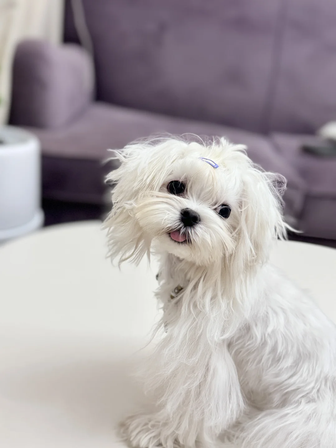 真想像他一样无忧无虑