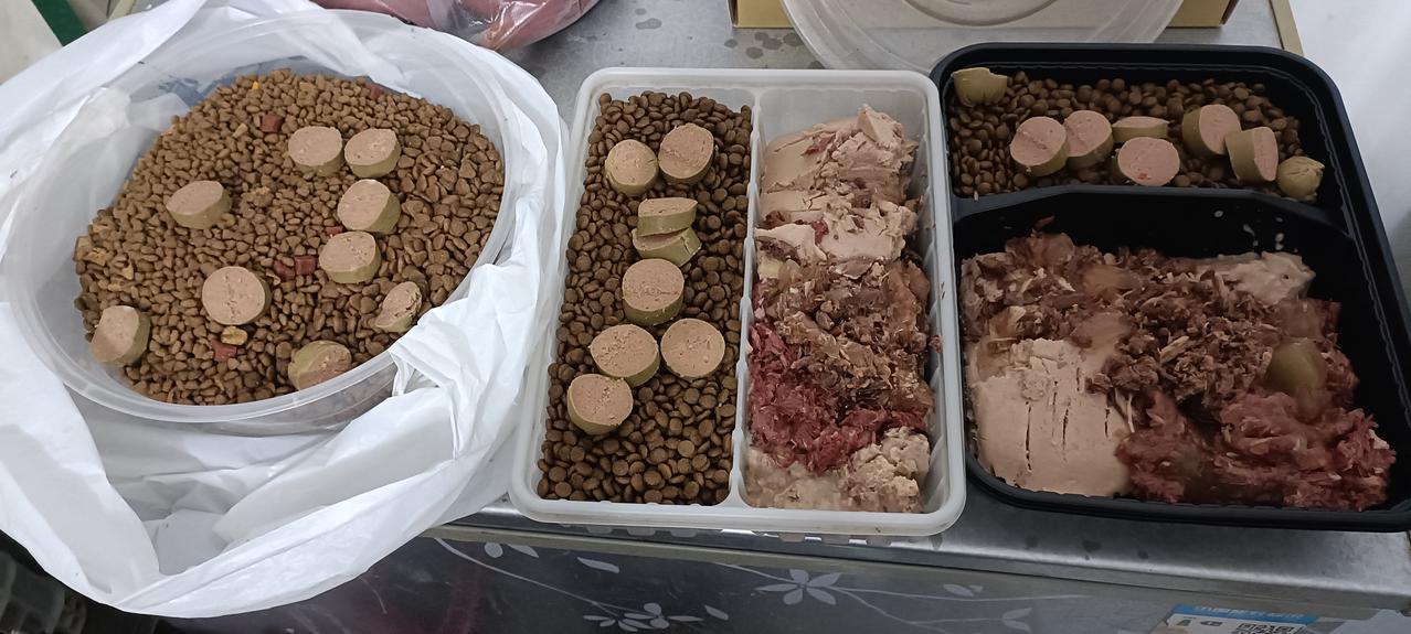 今晚给垃圾站流浪猫准备了主食猫饭，罐头和肉肠，胆大强壮的流浪猫有优先进食权，胆小