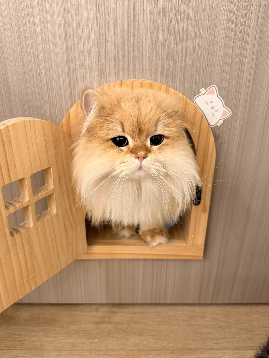 什么东东钻出来了！？