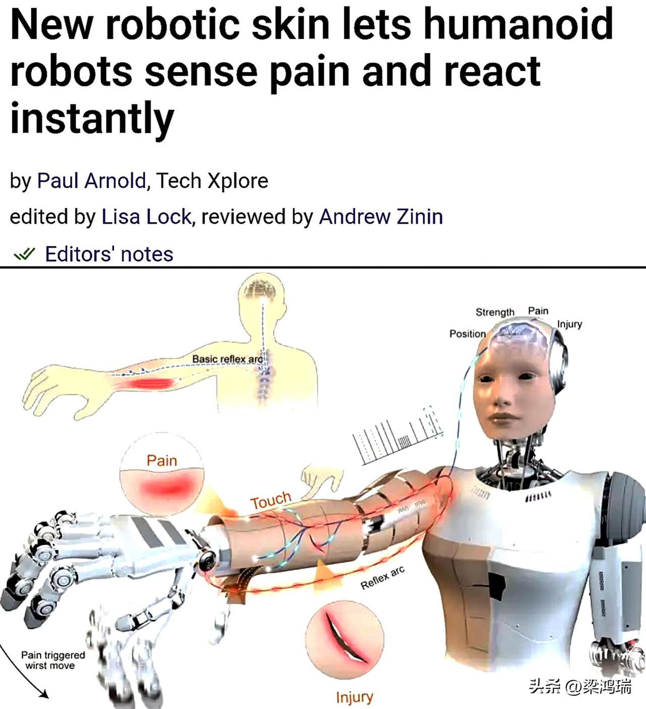 中国香港城市大学（CityU）的于欣格教授及其团队开发了一种神经形态机器人电子皮