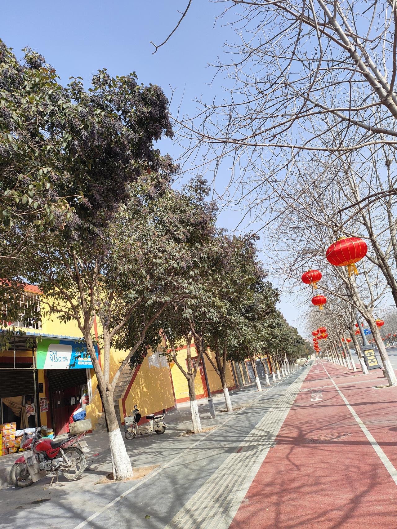 红灯笼串起一条街的年味，枯树在蓝天里作着疏朗的画框，春日的风，正把烟火气吹得慢悠