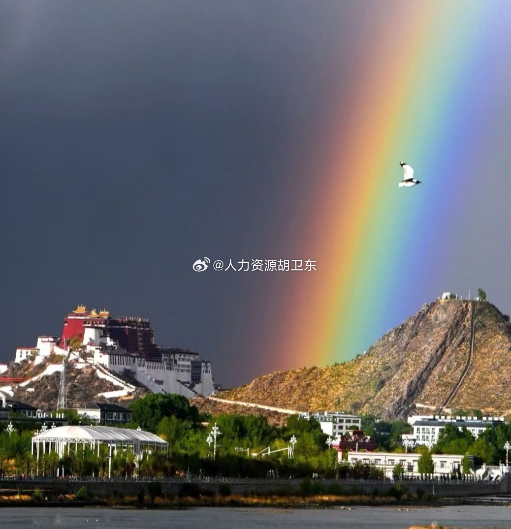 分享图片 