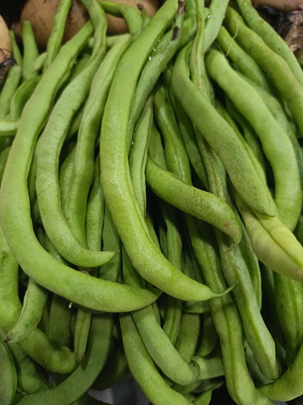 今早去菜市场买菜，家人们谁懂啊！逛菜场一眼就瞅见这堆四季豆，绿油油的直晃眼，嫩得