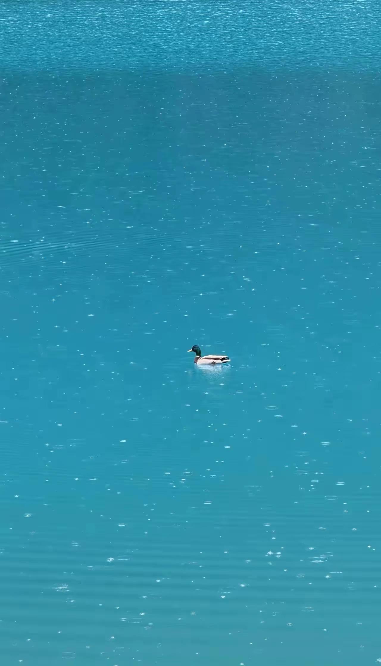 经济学家说:“一旦发生战争，银行的存款大概就没有了。历史表明，一旦发生战争，金融