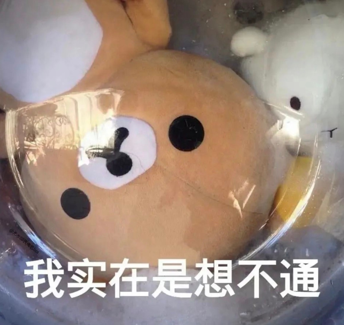 北京顶尖初中生有多强以前总觉得“海淀牛娃”是个传说，看完才发现是真的强。竞赛、表