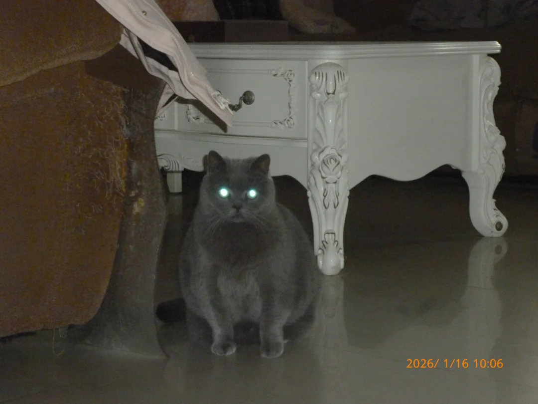 我爱它比爱自己更胜