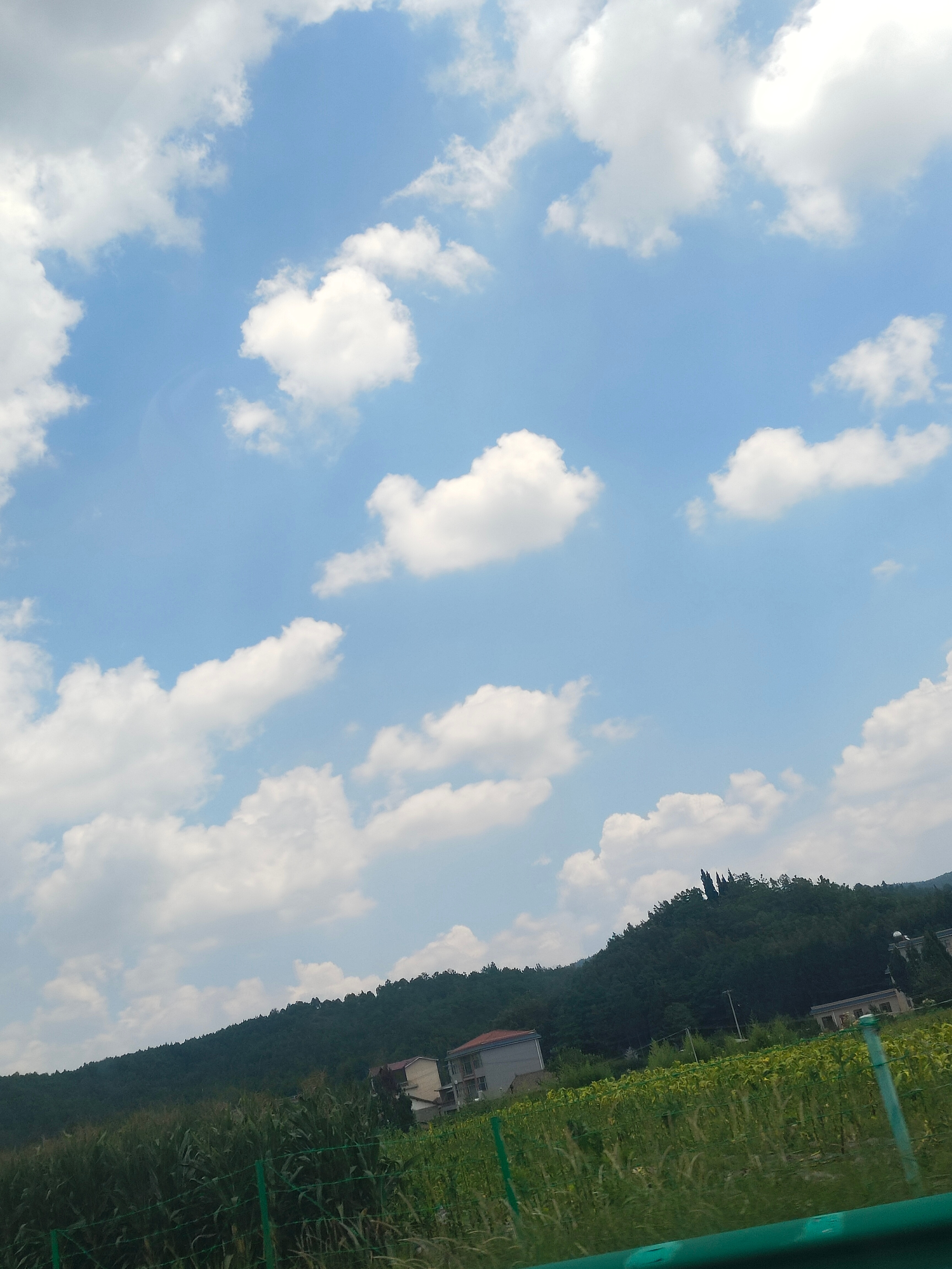 好热啊🥵 