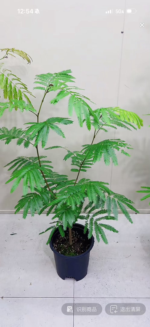 今天过节 我多喝两杯 不过分吧。。。今天过节 我在买棵猴 我不过分吧。。。 