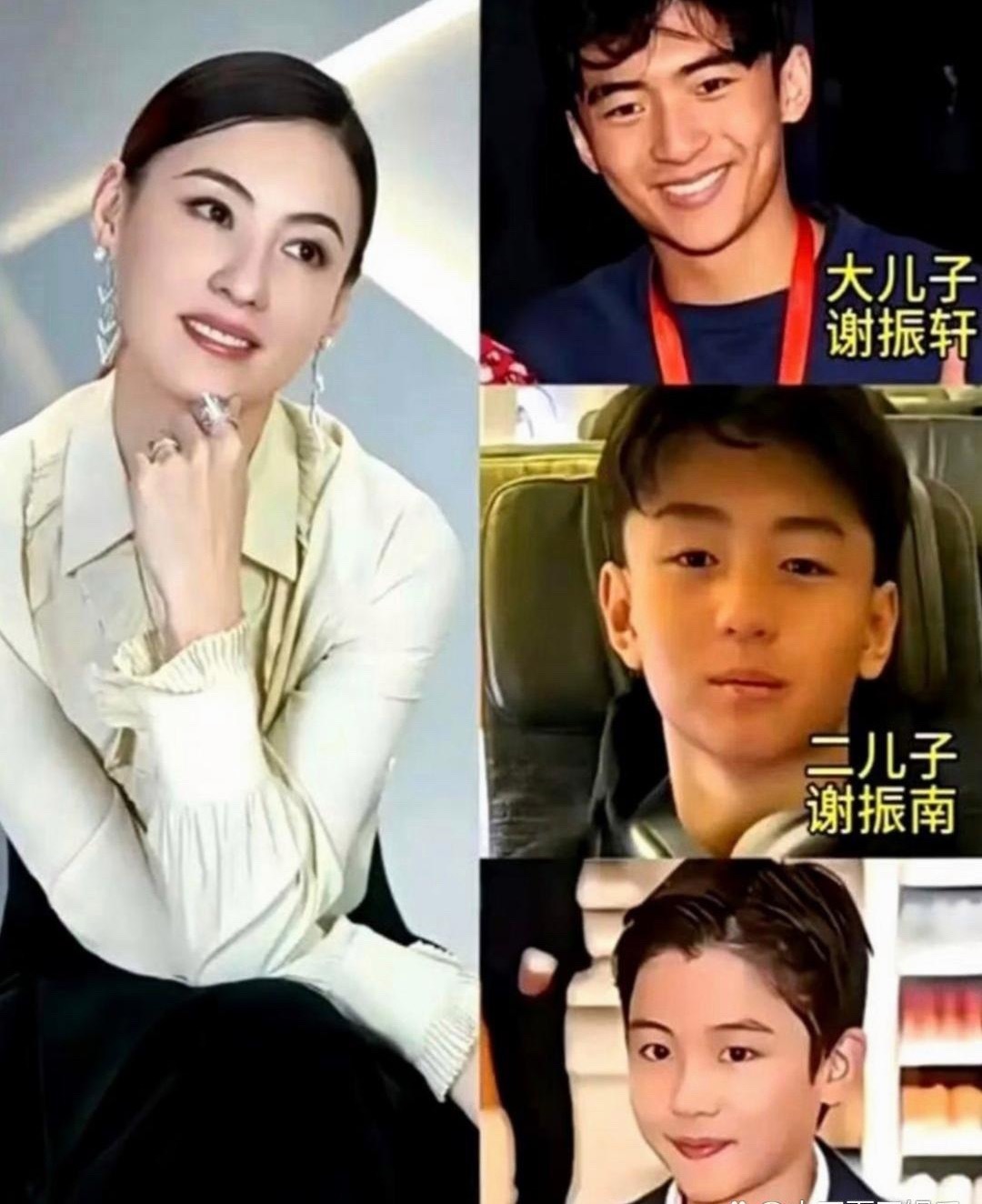 张柏芝的三儿子张礼承今年7岁了，谢振轩和谢振南这两个哥哥都很宠爱弟弟，三个儿子都
