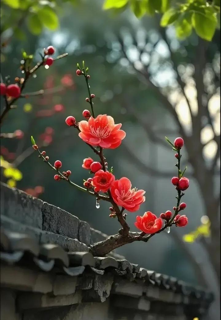 如果红杏不出墙，
哪来文人好诗章，
多少墨客从中写，
………请友续句………？
