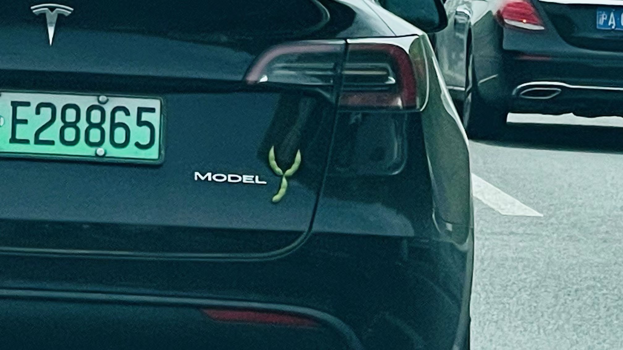毛豆Y不是#特斯拉model y# ​​​