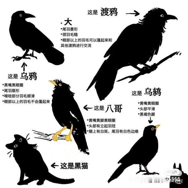 4997【想要】求此萌图没有水印版春日放个疯 ​​​