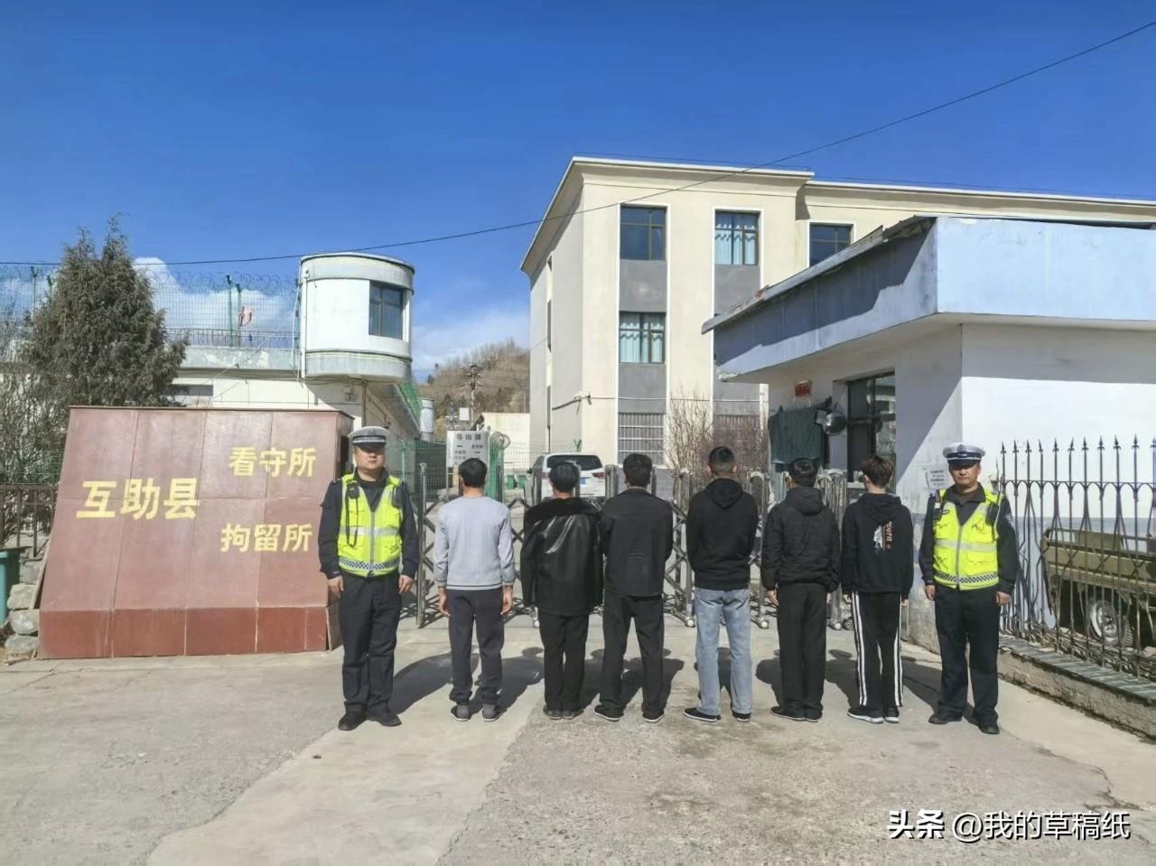 青海公安一次抓6人！刷到这条消息，我后背直冒冷汗。

这6个人，没一个考过驾照，