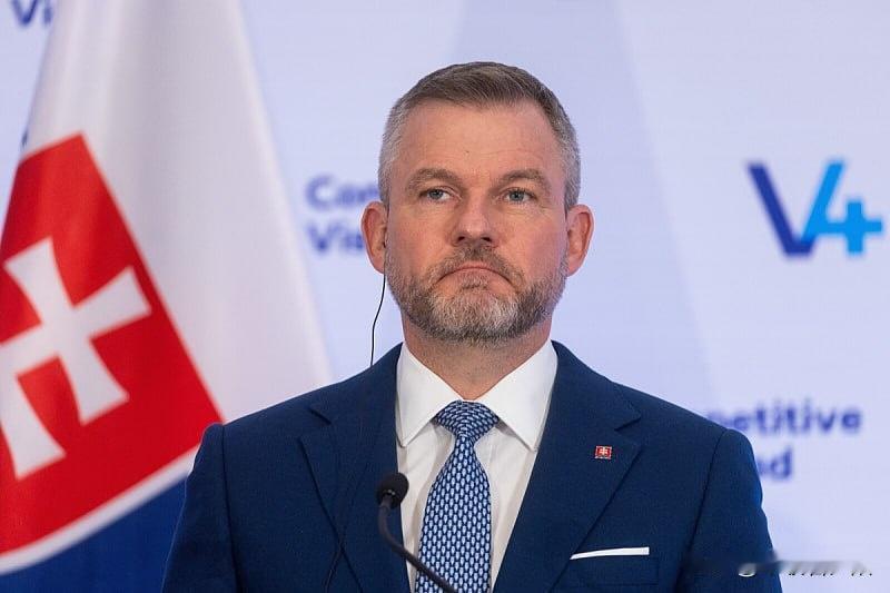 斯洛伐克总统佩莱格里尼签了份争议新法，把公开质疑贝奈斯法令合法性的行为直接定为刑