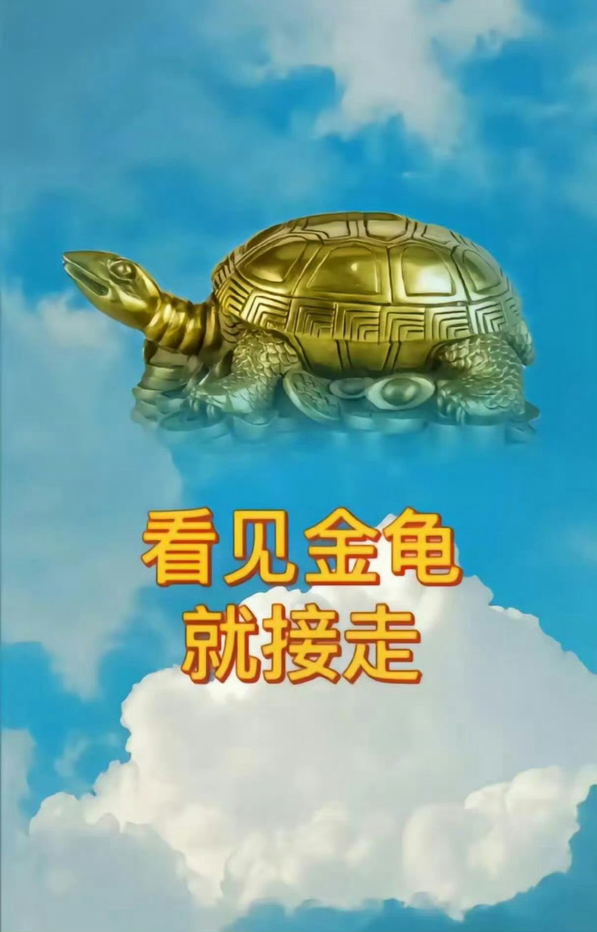 看见金龟就接走 好运财运跟你走 