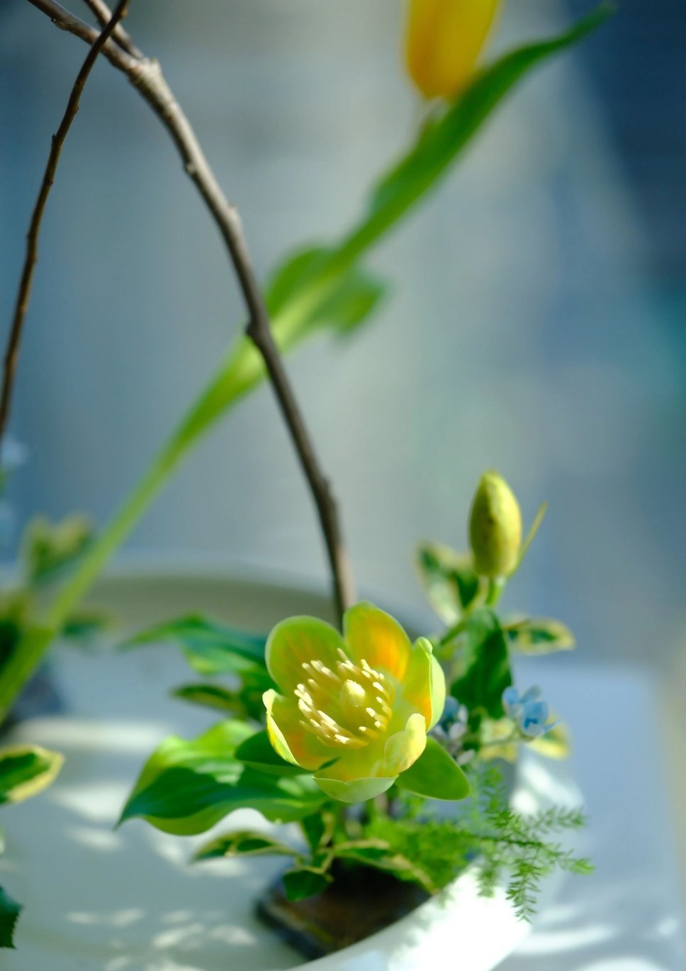 每日一善 阳光‎信用 善良的心肠比美丽的外衣更加重要，纯洁的灵魂比成套的高级家具