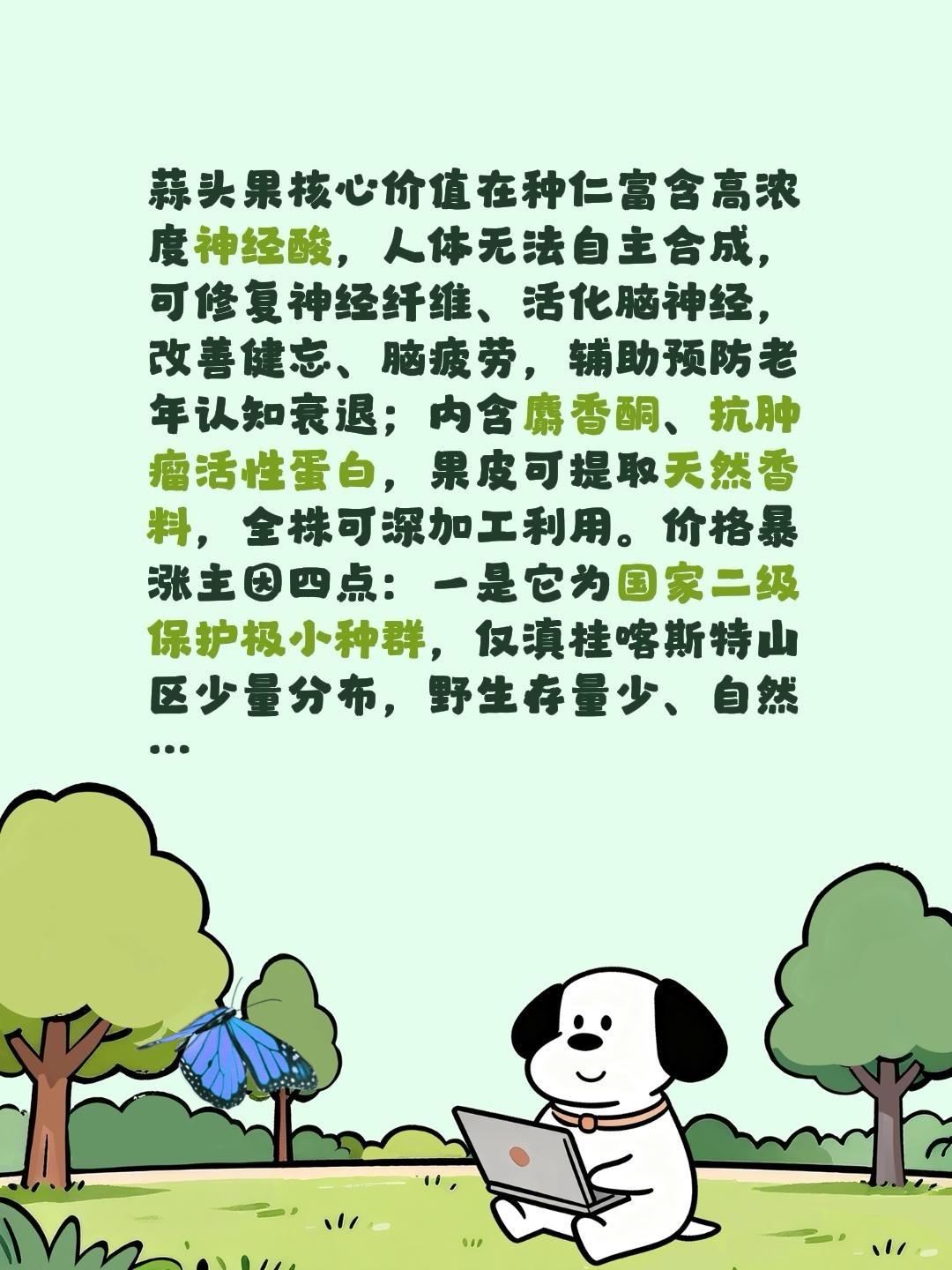 蒜头果为啥价格持续走高？我评论了@天宝农业技术服务 的作品：
蒜头果核心价值在种