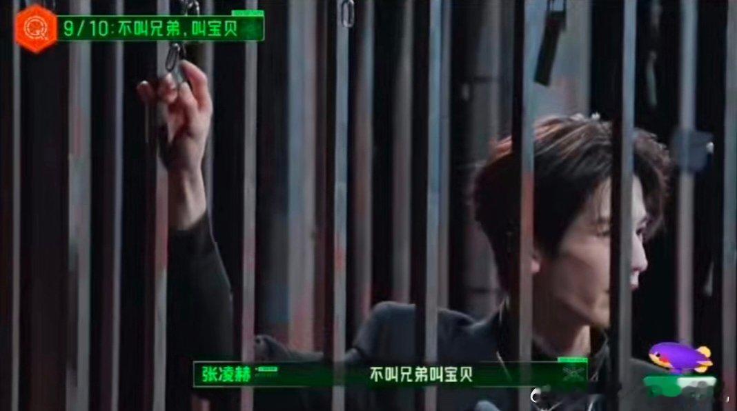 金靖没少看丁程鑫直播张凌赫回复丁程鑫谁能想到金靖把丁程鑫直播片段熟记于心，专属口