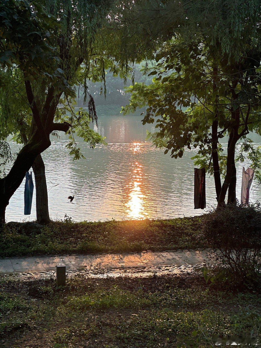 PLOG.109 [微风]盐盐的日常在成都吃过一次就一直念念不忘的烤匠终于在杭州