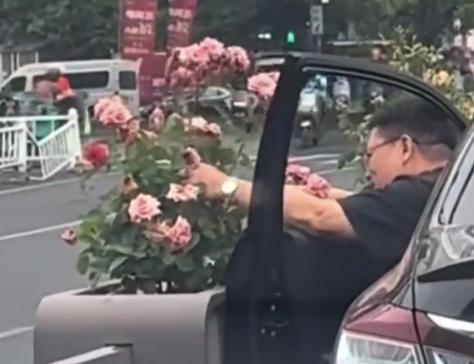 520奇葩浪漫引热议：绿化带的鲜花，撑不起真心爱意
 
520告白季，各类花式浪
