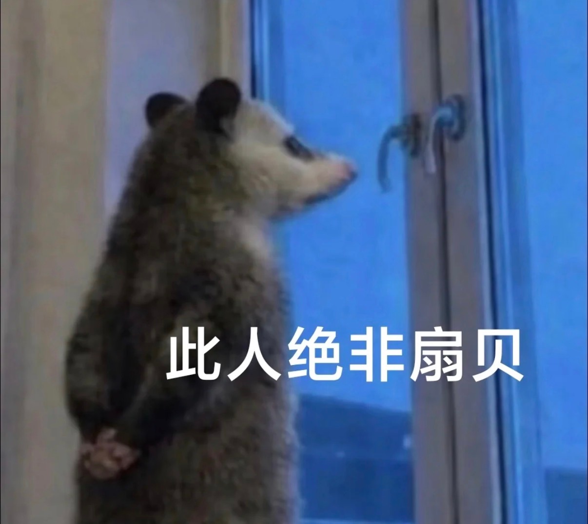 现在飞机的机建燃油费怎么能贵到这种地步…… 